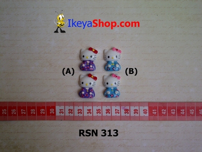 rsn 313  large2